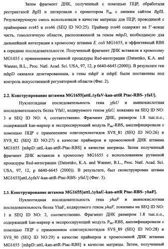Способ производства 4-гидрокси-l-изолейцина или его соли (патент 2355767)