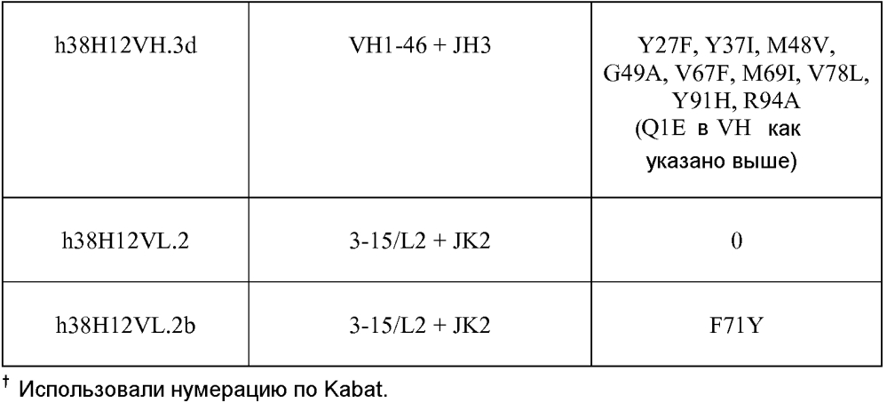 Терапевтические dll4-связывающие белки (патент 2605928)