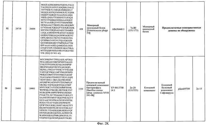 Бактериофаг, обладающий активностью против pseudomonas aeruginosa, белки бактериофага и способы их применения (патент 2580248)