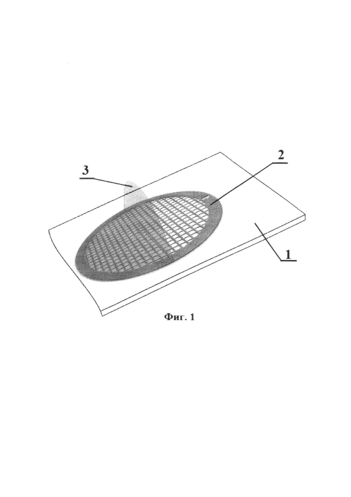 Способ получения образцов биоплёнок холерных вибрионов для исследования методом трансмиссионной электронной микроскопии (патент 2662938)