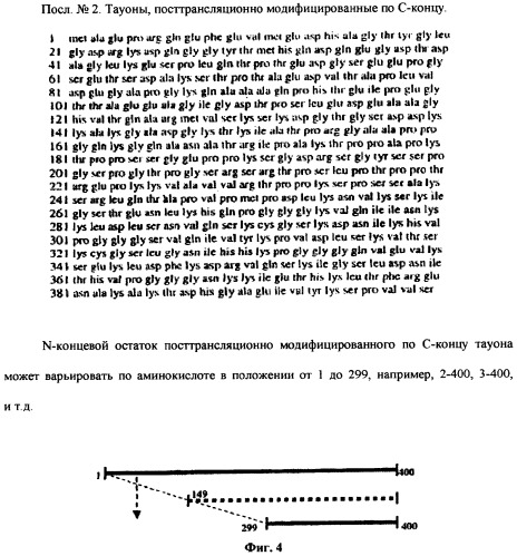 Конформационно аномальные формы белков тау и специфические антитела к ним (патент 2299889)