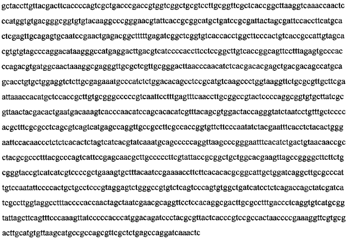 Штамм бактерии komagataeibacter xylinus - продуцент бактериальной целлюлозы (патент 2568605)