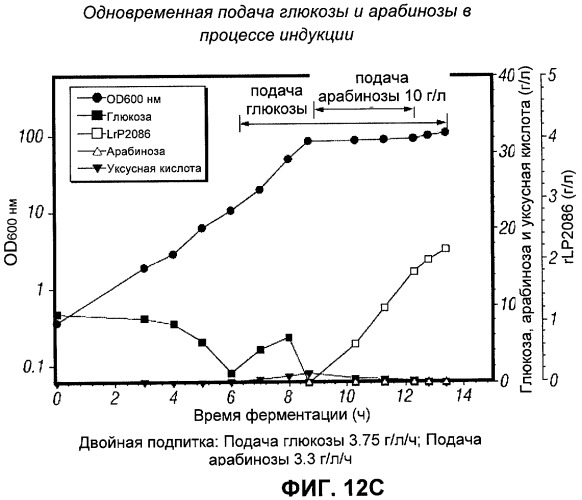 Процесс периодической ферментации с подпиткой при высокой плотности клеток для получения рекомбинантного белка (патент 2451070)