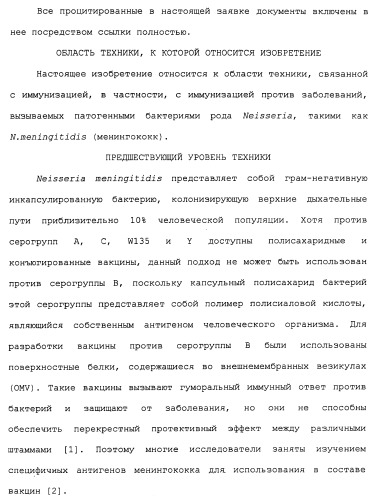 Химерные, гибридные и тандемные полипептиды менингококкового белка nmb1870 (патент 2431671)