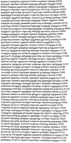 Модуляция экспрессии гентингтина (патент 2562861)