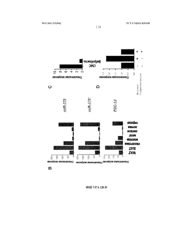 Регуляция метаболизма с помощью mir-378 (патент 2585491)