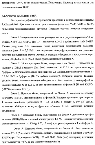 Способ производства 4-гидрокси-l-изолейцина или его соли (патент 2355767)