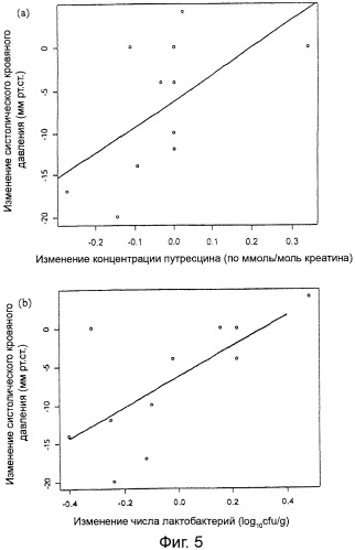 Изолированный штамм микроорганизма lactobacillus plantarum tensia dsm 21380 как противомикробный и гипотензивный пробиотик, продукт питания и композиция, содержащая упомянутый микроорганизм, и применение упомянутого микроорганизма для получения гипотензивного лекарственного средства, способ подавления патогенов и побочных лактобактерий в продукте питания (патент 2477750)