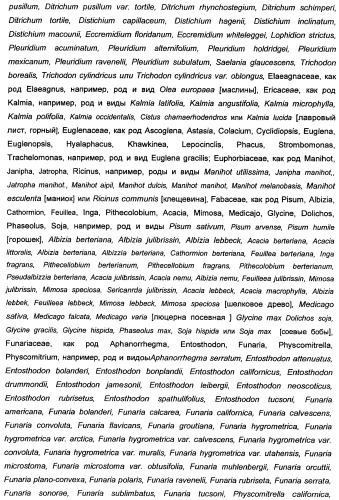 Способ получения полиненасыщенных кислот жирного ряда в трансгенных организмах (патент 2447147)