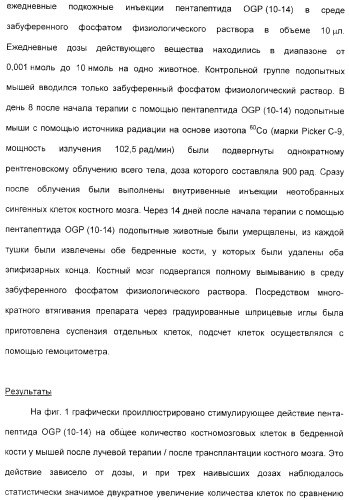 Олигопептиды остеогенного роста как стимуляторы кроветворения (патент 2310468)