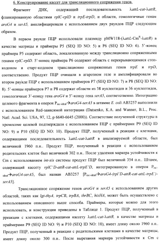 Способ конструирования оперонов, содержащих трансляционно сопряженные гены (патент 2411292)