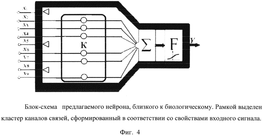 Нейрон, моделирующий свойства реального нейрона (патент 2597495)