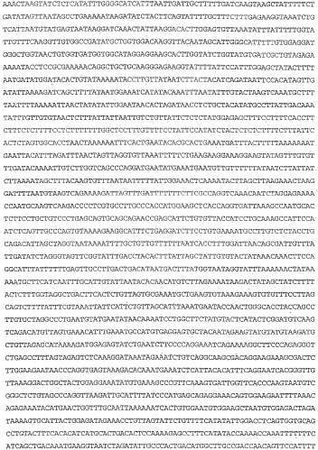 Применение s1p (патент 2362565)