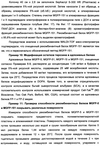 Биоадгезив мидии (патент 2349599)