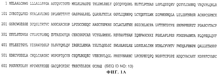 Гуманизированное антитело, которое обладает способностью связывать erbb2 и блокировать активацию лигандом рецептора erbb (варианты) и композиция для применения при лечении рака, содержащая это антитело (патент 2270029)