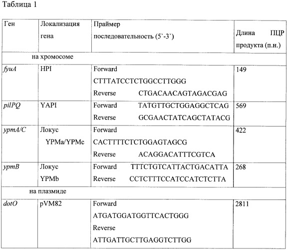 Тест-штамм yersinia pseudotuberculosis для дифференциации бактерий yersinia pseudotuberculosis генетической группы ii (патент 2465317)