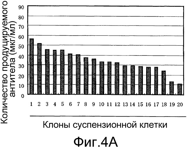 Способ получения белка (патент 2563514)