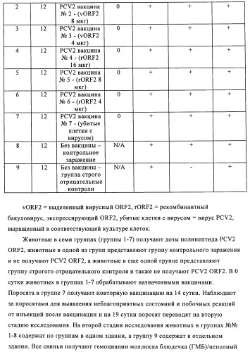 Поливалентные иммуногенные композиции pcv2 и способы получения таких композиций (патент 2488407)