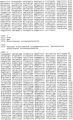 Рекомбинантные микроорганизмы, продуцирующие метионин (патент 2447146)