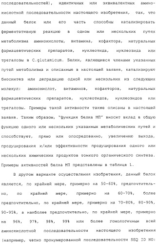 Гены corynebacterium glutamicum, кодирующие белки метаболических путей (патент 2306339)