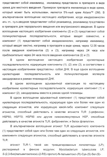 Способ усиления иммунного ответа млекопитающего на антиген (патент 2370537)