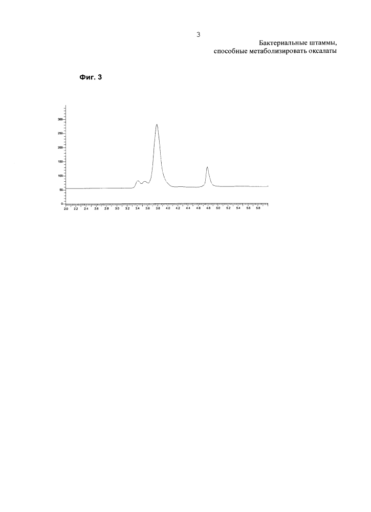 Бактериальный штамм, способный метаболизировать оксалаты (патент 2624033)
