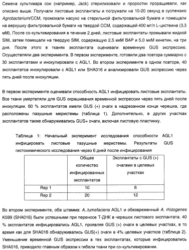 Улучшенная трансформация сои (патент 2389797)