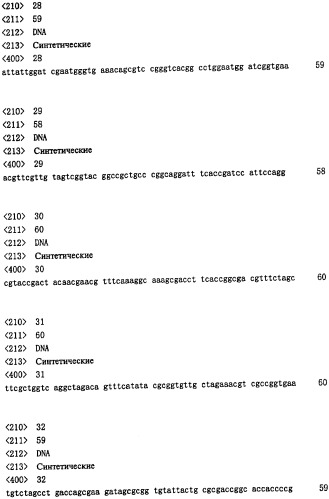 Одноцепочечное триспецифическое антитело рекомбинант анти-сеа/cd3/cd28, полученный путем генетической инженерии (патент 2361878)