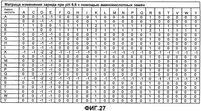 Способы улучшения множественных свойств белка (патент 2553550)