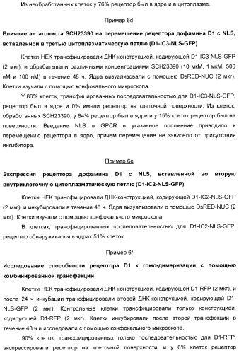 Способ идентификации соединений, взаимодействующих с трансмембранными белками (патент 2326166)