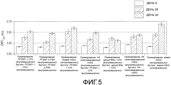 Иммуногенные композиции и способы (патент 2468034)