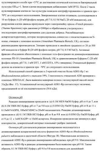 Бактерия семейства enterobacteriaceae - продуцент l-аспарагиновой кислоты или метаболитов, производных l-аспарагиновой кислоты, и способ получения l-аспарагиновой кислоты или метаблитов, производных l-аспарагиновой кислоты (патент 2472853)