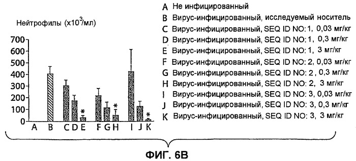 Полумягкие иммуностимулирующие олигонуклеотиды с-класса (патент 2393223)