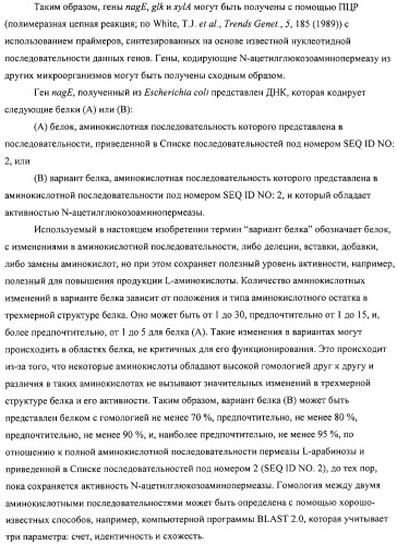 Способ получения l-аминокислот с использованием бактерии, принадлежащей к роду escherichia (патент 2312893)