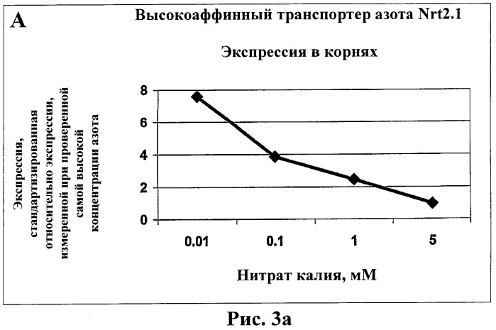 Изолированные полипептиды, кодирующие их полинуклеотиды, экспрессирующие их трансгенные растения и способы их использования (патент 2425151)