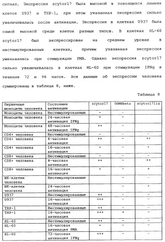Новый лиганд рецептора цитокина zcytor17 (патент 2360923)