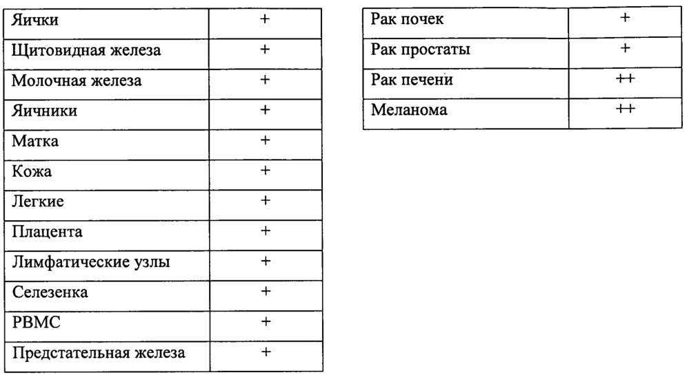 Идентификация опухолеассоциированных антигенов для диагностики и терапии (патент 2644686)