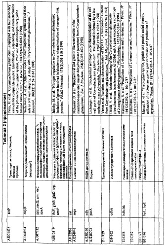 Гены corynebacterium glutamicum, кодирующие белки, участвующие в гомеостазе и адаптации (патент 2304616)