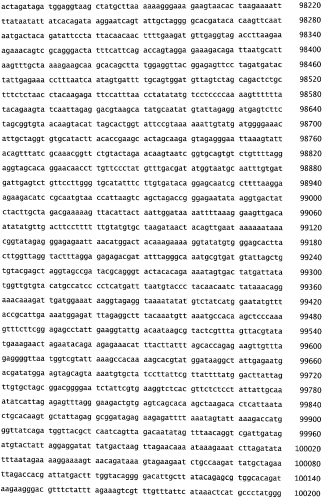 Бактериофаг, обладающий активностью против pseudomonas aeruginosa, белки бактериофага и способы их применения (патент 2580248)