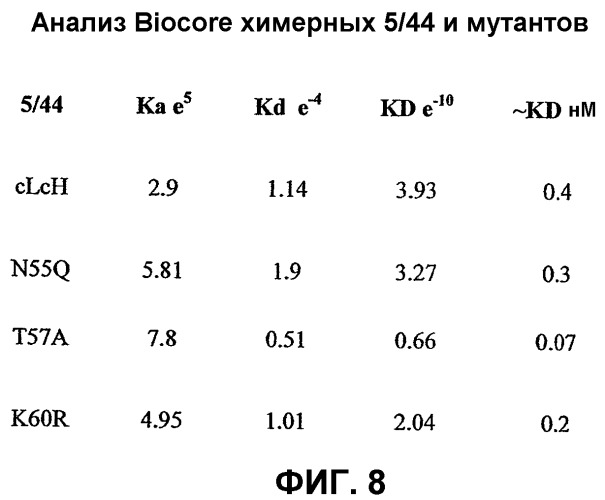 Антитела, специфичные к cd22 человека, и их применения в терапии и диагностике (патент 2342401)
