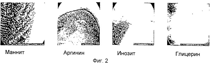 Пептидная композиция, содержащая пропиленгликоль, являющаяся оптимальной для изготовления и применения в инъекционных устройствах (патент 2421238)