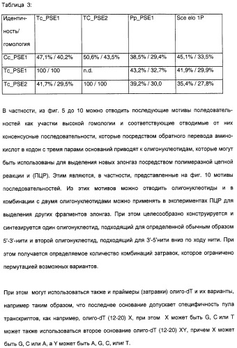 Новый ген элонгазы и способ получения полиненасыщенных кислот жирного ряда (патент 2311457)