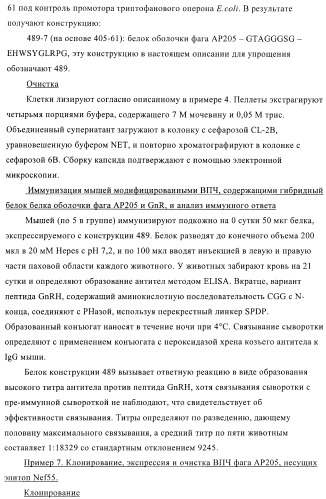 Вирусоподобные частицы, включающие гибридный белок белка оболочки бактериофага ар205 и антигенного полипептида (патент 2409667)