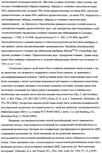 Способ получения l-треонина с использованием бактерии, принадлежащей к роду escherichia, в которой инактивирован оперон rspab (патент 2337961)