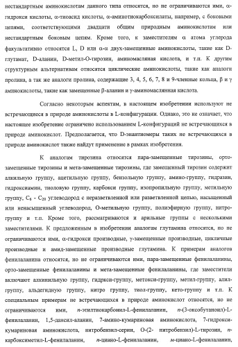 Система экспрессии компонентов ортогональной трансляции в эубактериальной клетке-хозяине (патент 2467069)