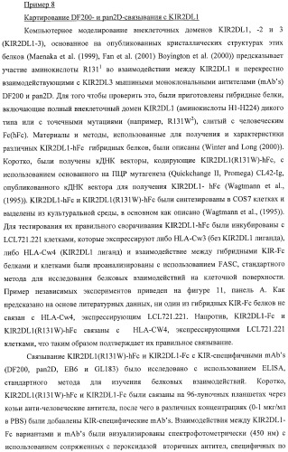 Композиции и способы регуляции клеточной активности nk (патент 2404993)