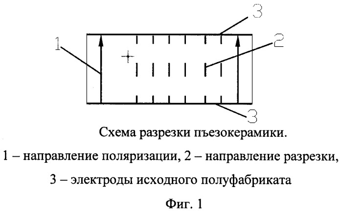 Ультразвуковой датчик сдвиговых волн (патент 2365911)