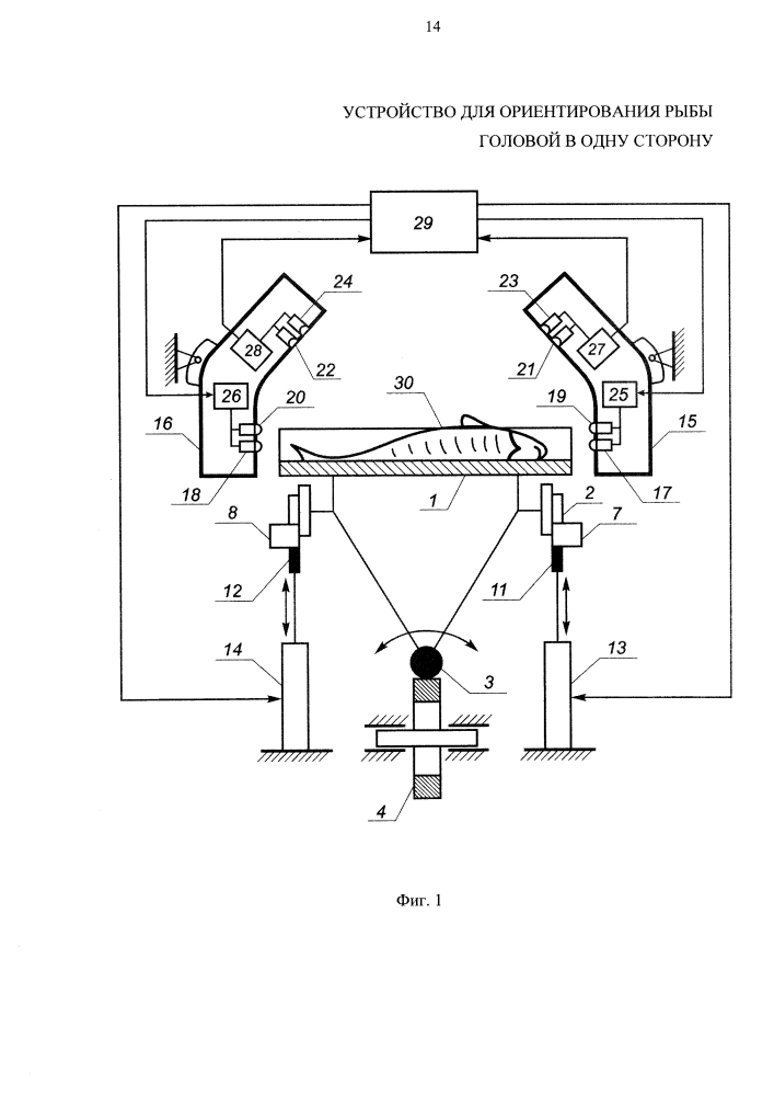 Устройство для ориентирования рыбы головой в одну сторону (патент 2645974)