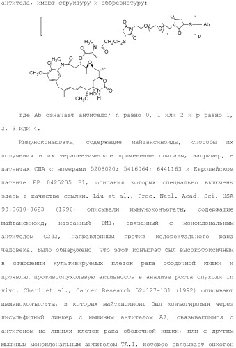 Антитела и иммуноконъюгаты и их применение (патент 2483080)