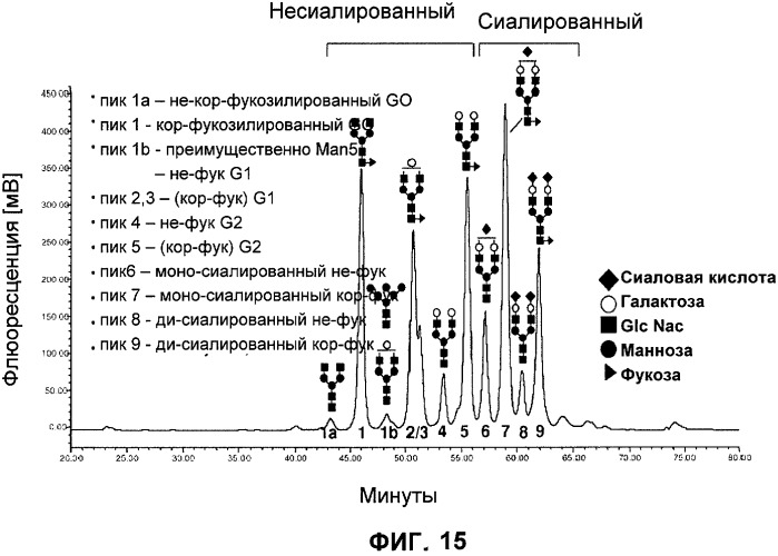 Применение низкой температуры и/или низкого pн в культуре клеток (патент 2478702)